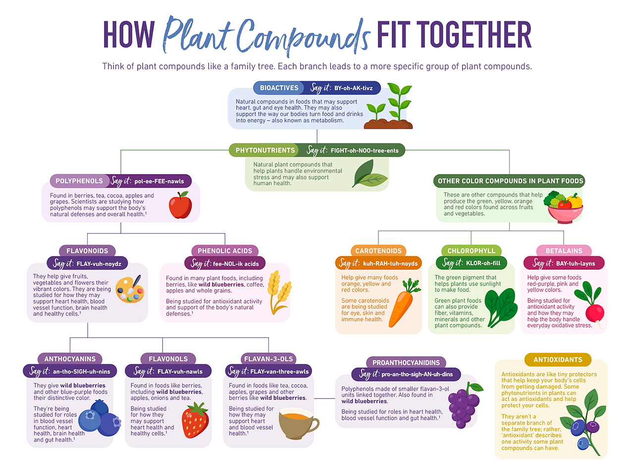 Wild Blueberry Association of North America Launches Phytonutrients Toolkit for Nutrition Reporters and Educators