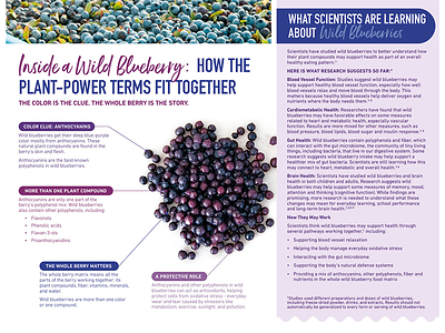 Inside a Wild Blueberry: This educational graphic is included in The ABCs of Phytonutrients: A Back-to-School Guide to Wild Blueberry Plant Power. It explains how anthocyanins relate to wild blueberries’ blue-purple color and summarizes research examining blood vessel function, cardiometabolic health, gut health and brain health.