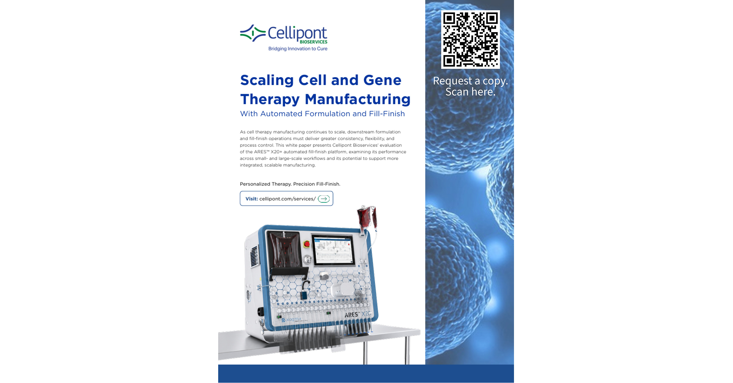 Cellipont Bioservices and Xiogenix Publish New White Paper on Automated Fill-Finish for Scalable Cell Therapy Manufacturing