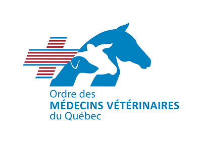 L'Ordre des médecins vétérinaires du Québec demande au prochain gouvernement d'agir pour améliorer l'accès aux soins vétérinaires