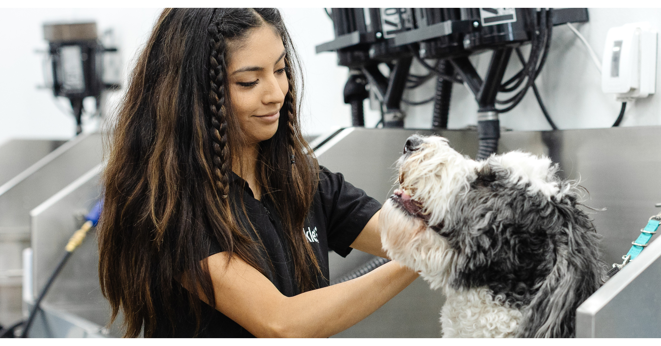 Sparkle Grooming Co. secures $6M in strategic growth financing