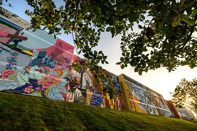 Reynolds Boulevard Mural