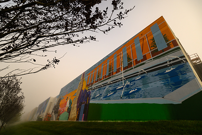 Reynolds Boulevard Mural