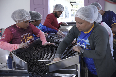 FAS and Global Energy Alliance bring solar power to the Brazilian Amazon, turning açaí into economic opportunity and offering a model for remote communities