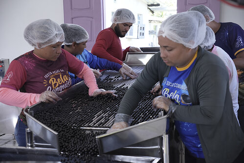 Processing acai in the Amazon using solar power – in Bela Conquista, Brazil. Photo provided by: Global Energy Alliance for People and Planet This image opens in the lightbox