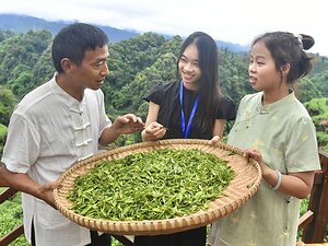 Ya'an in Dialogue with the World: Exploring Scenery, Immersing in Local Culture