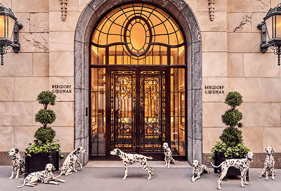 'Very Bergdorf' By Assouline Courtesy of Gray Malin