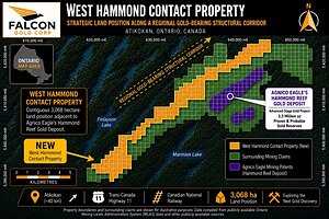 FALCON GOLD ADVANCES DISTRICT-SCALE EXPLORATION STRATEGY WITH WEST HAMMOND FIELD PROGRAM