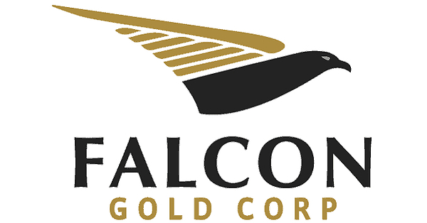 FALCON GOLD ADVANCES DISTRICT-SCALE EXPLORATION STRATEGY WITH WEST HAMMOND FIELD PROGRAM