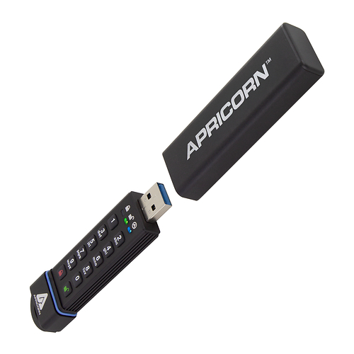 9 capacities ranging from 16GB to 4TB--Highest capacity rating in hardware-encrypted memory stick category 9 capacities ranging from 16GB to 4TB--Highest capacity rating in hardware-encrypted memory stick category