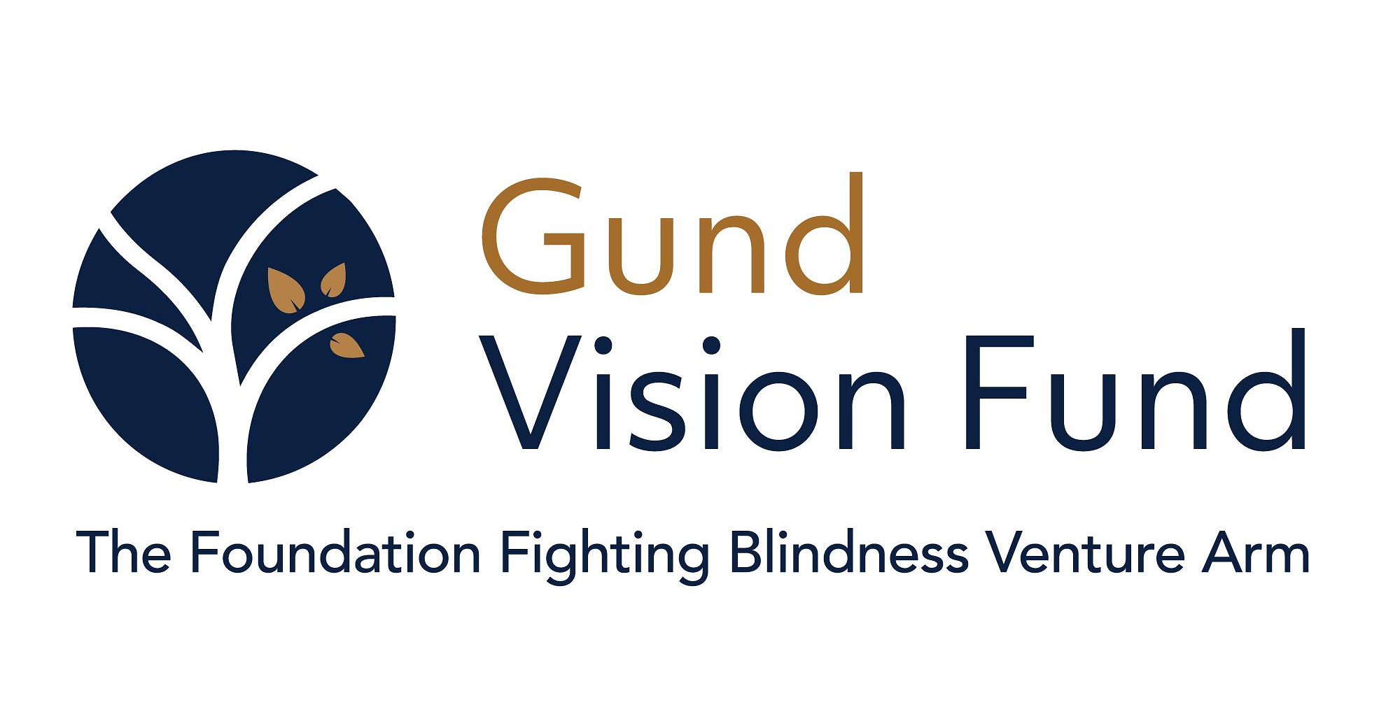 Foundation Fighting Blindness Renames Venture Philanthropy Arm the Gund Vision Fund, Honoring Five Decades of Gund Family Leadership