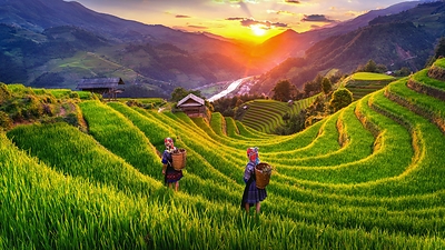 Rest days between appointments allow international patients to explore northern Vietnam’s terraced highlands Rest days between appointments allow international patients to explore northern Vietnam’s terraced highlands