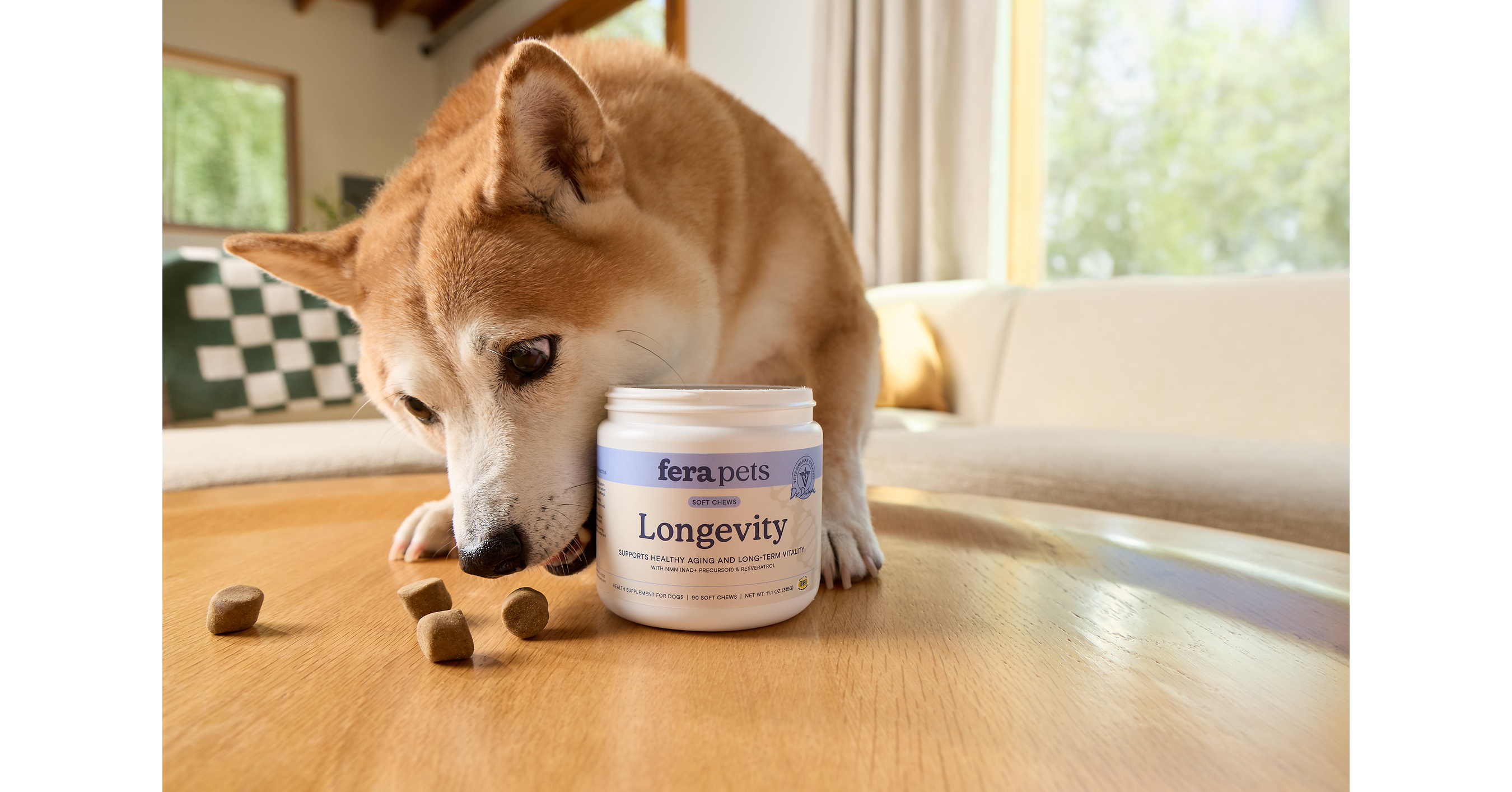 Fera Pets Unveils Longevity for Dogs, a Breakthrough Daily Chew Supporting NAD+ ...