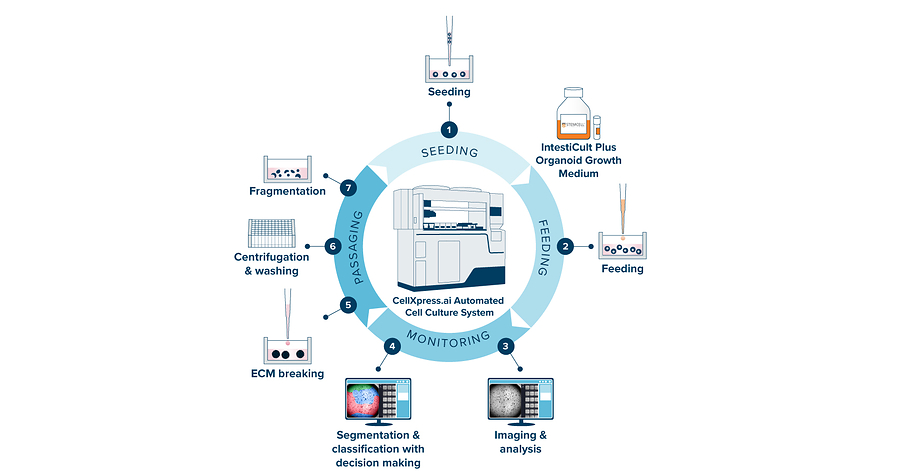 Molecular Devices and STEMCELL Technologies Collaborate to Accelerate Adoption of Human-Relevant Organoid Models Through Automation