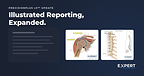 Illustrated reporting expanded by Expert Radiology 