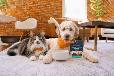 Oxyfresh Advanced Dental Powder for Dogs & Cats Oxyfresh Advanced Dental Powder for Dogs & Cats