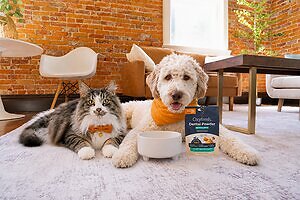 Oxyfresh Expands Its Leadership in Pet Dental Care with Innovative Triple-Biotic Dental Powder