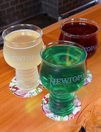 Newtopia Cyder pints