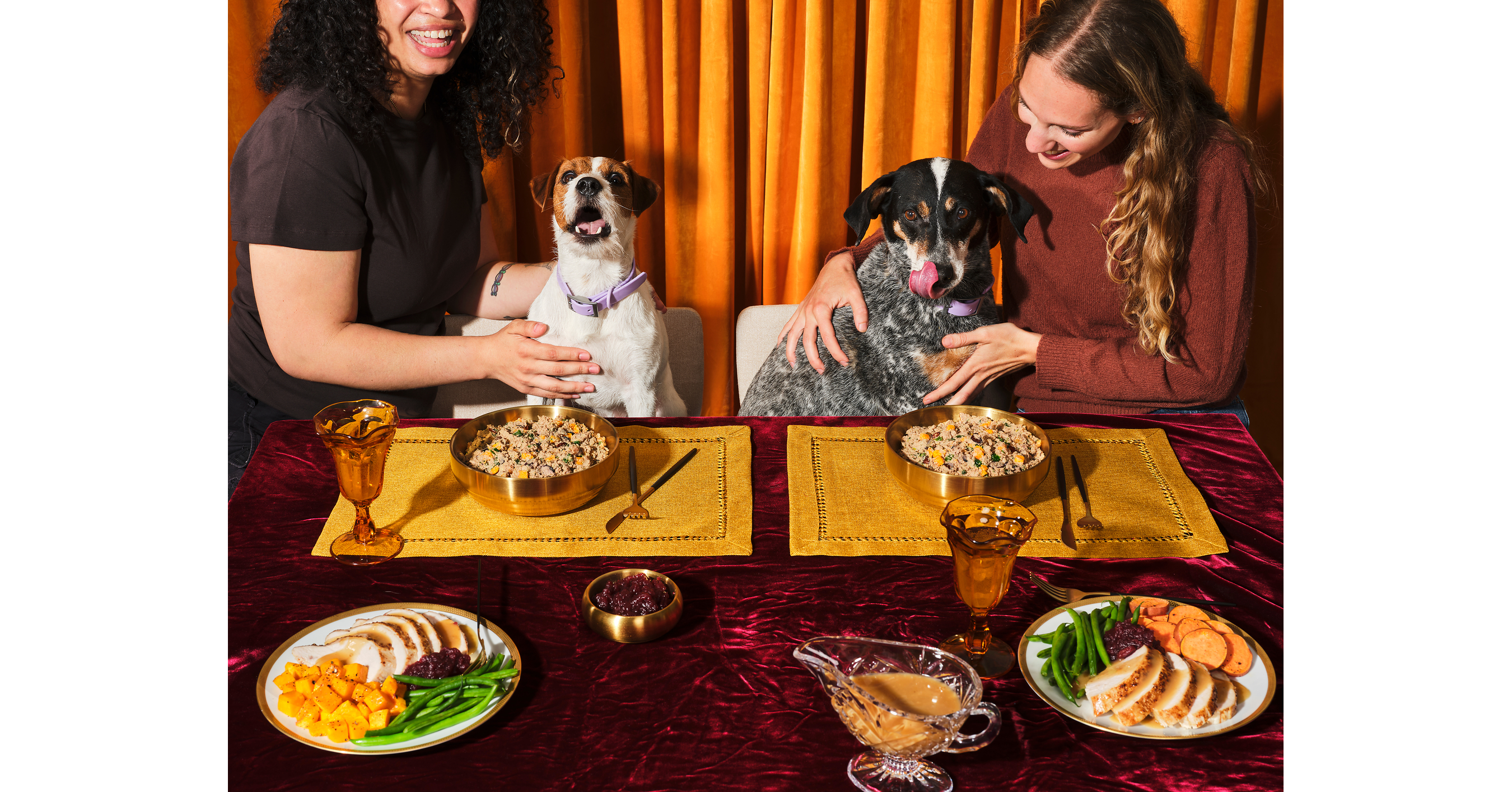 Ollie Gives Dog Parents Another Reason to Feed the Obsession™ This Holiday Season