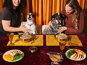 Ollie Gives Dog Parents Another Reason to Feed the Obsession™ This Holiday Season
