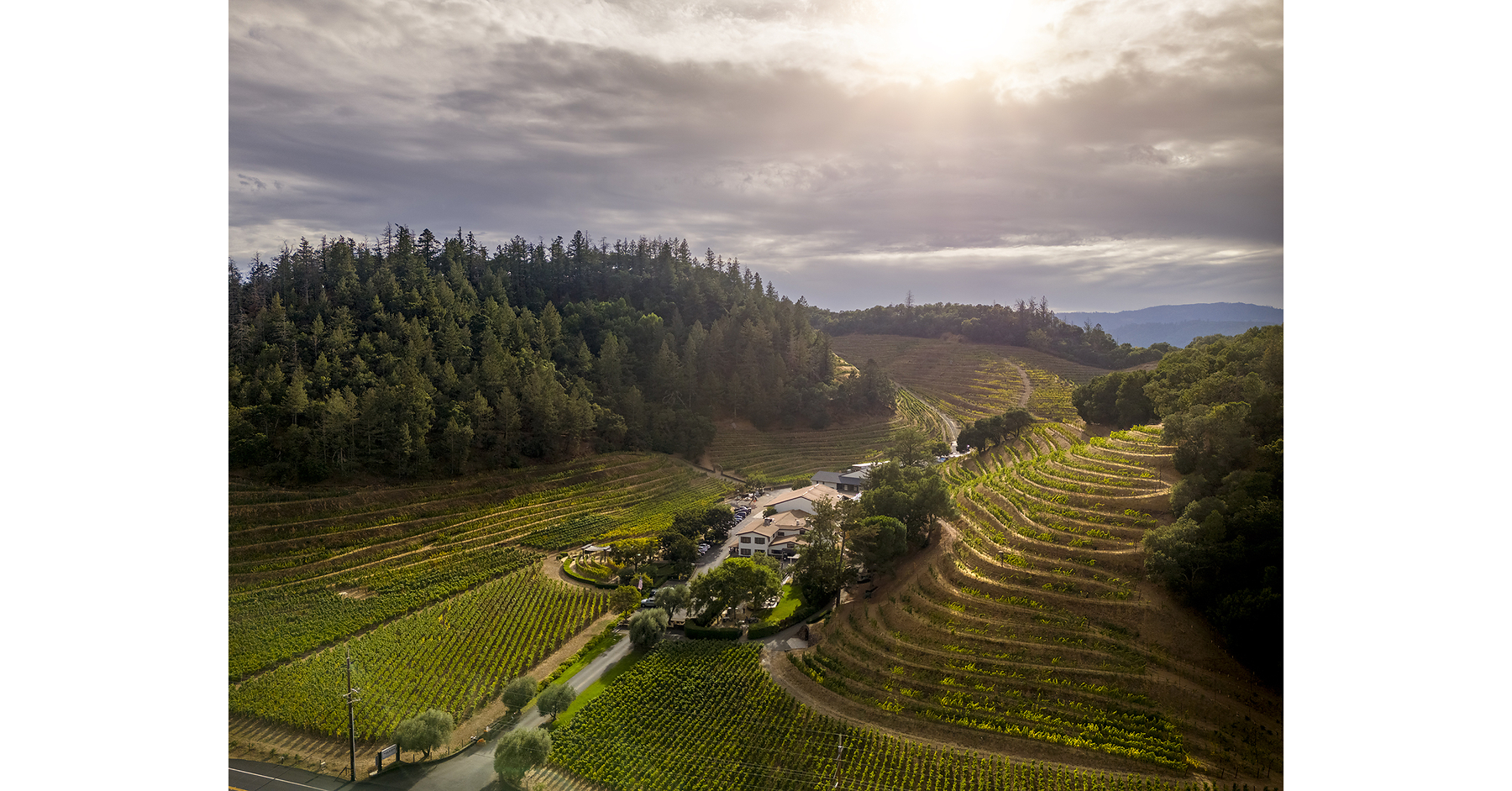 Pine Ridge Vineyards Celebrates 30 Years of Its Iconic Chenin Blanc + Viognier and Announces Expanded Role for Winemaker Josh Widaman