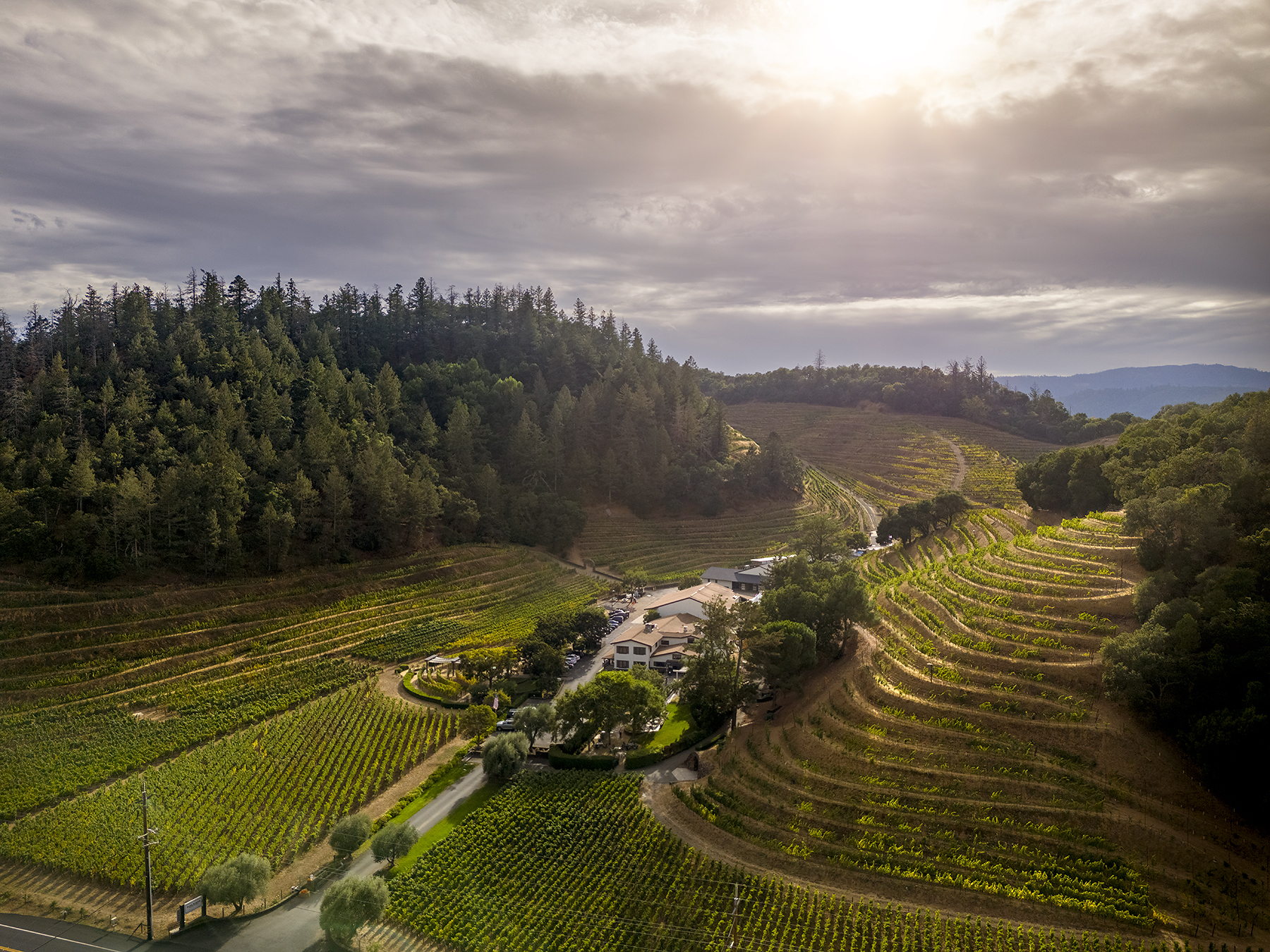 Pine Ridge Vineyards Celebrates 30 Years of Its Iconic Chenin Blanc + Viognier and Announces Expanded Role for Winemaker Josh Widaman
