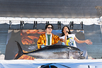tuna cutting show