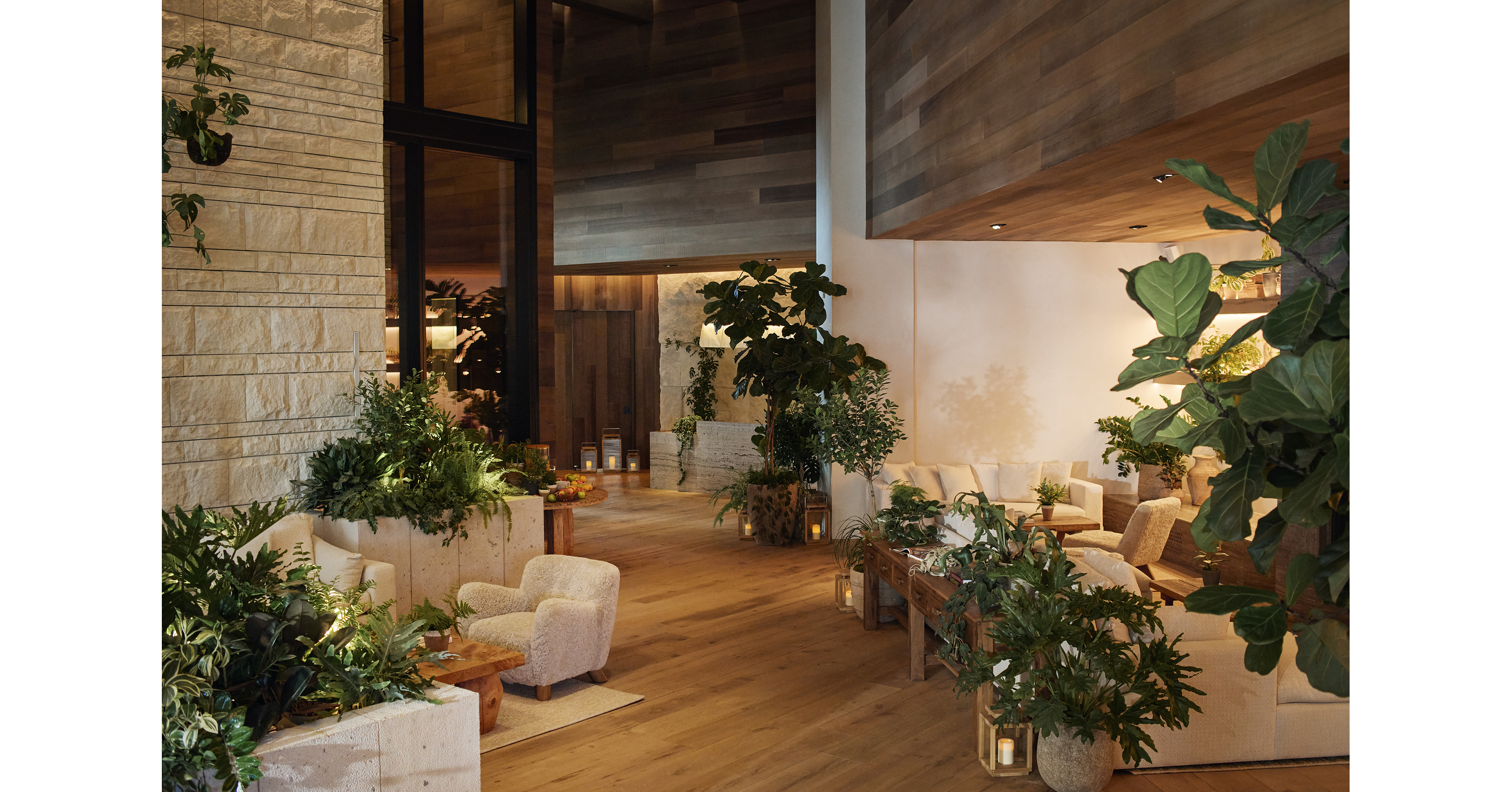 Now Open: 1 Hotel Austin--a Texas-Sized Urban Retreat