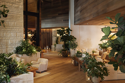 Lobby at 1 Hotel Austin Credit: Mikkel Vang