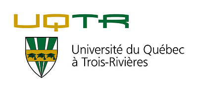 L'UQTR au cœur d'une refonte du hockey universitaire - Mise en place d'une ligue québécoise de division 1