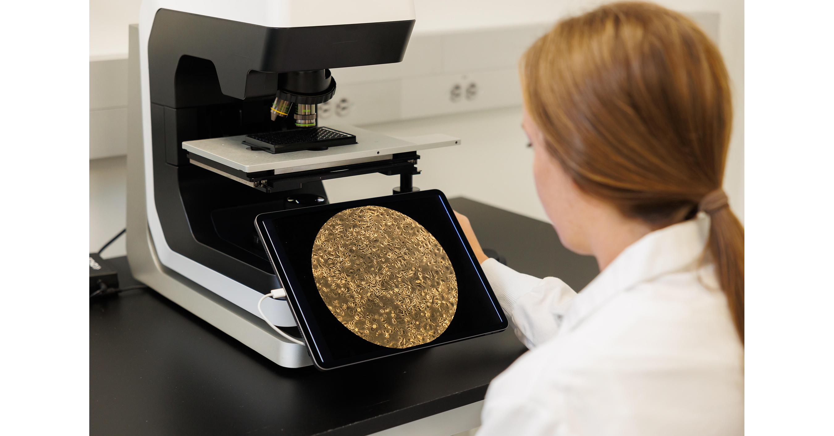 Debut Engineers New Biotech Ingredient for Hyperpigmentation