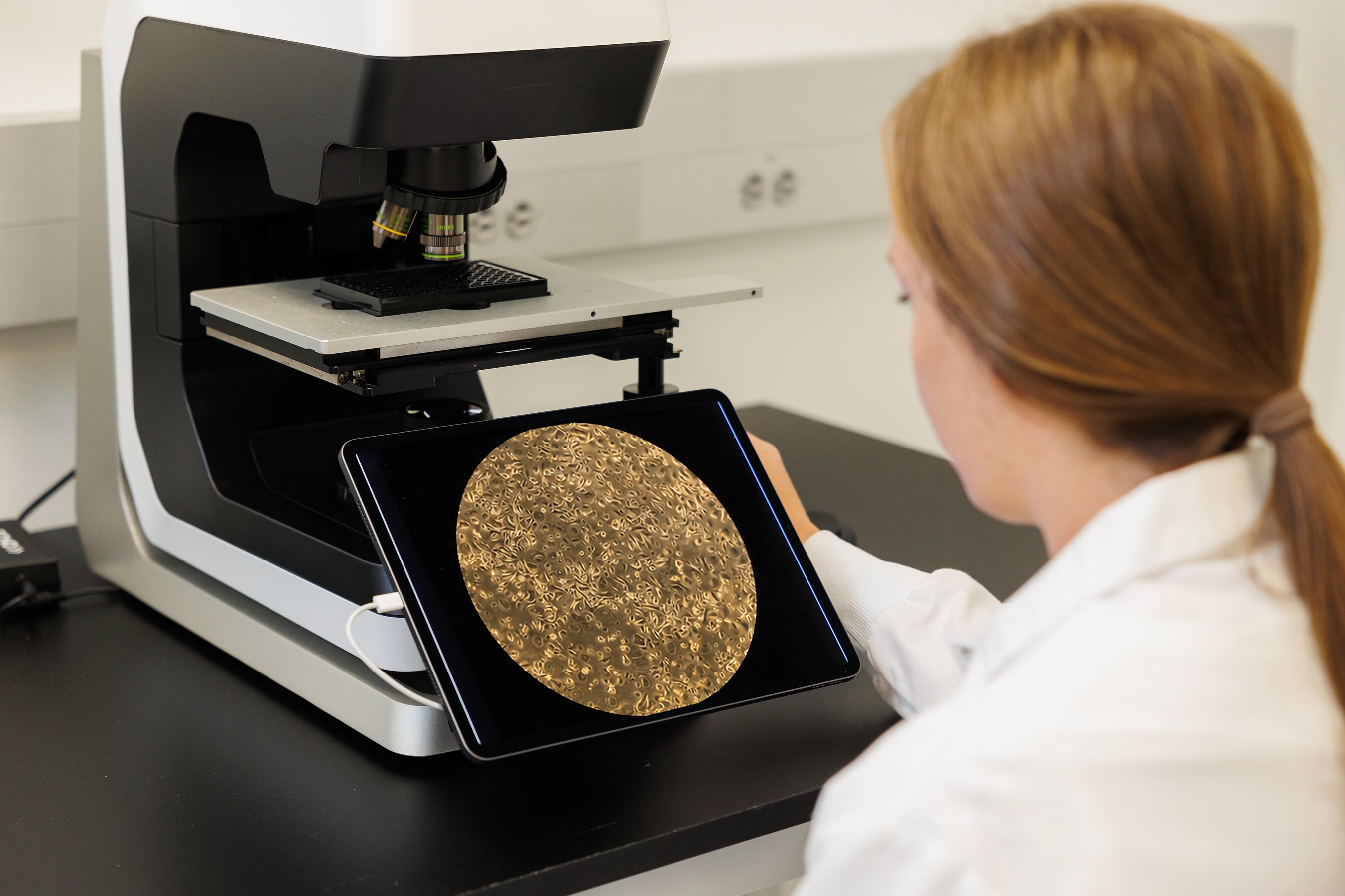 Debut Engineers New Biotech Ingredient for Hyperpigmentation