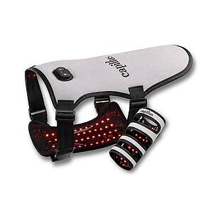 Capillus Expands Light Therapy Expertise into Pet Wellness with Launch of Pet Vest and Joint Wrap