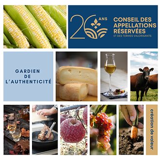 Appellations réservées et termes valorisants : produits