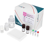 InBios Lyme Detect Multiplex ELISA™ (RUO)