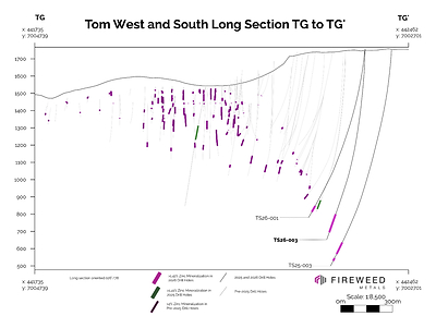 Figure 3 Inclined Long Section TG to TG' (026/78): showing intersected mineralization 2026, 2025 and pre-2025 drilling intersections.