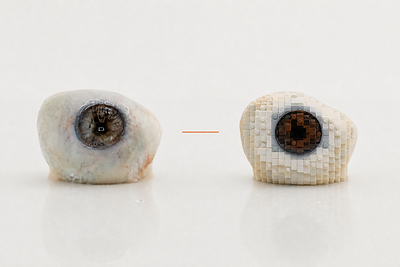 Ambitious turns matter into model-ready data, powering biological AI. Photo Credit: Ambitious Bio
