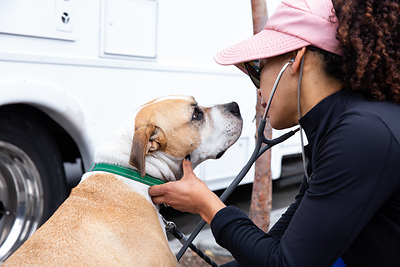The Dave & Cheryl Duffield Foundation Makes $250 Million Commitment to Expand Veterinary Care Services