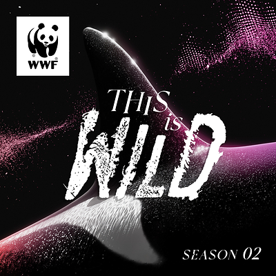 newswire.ca - World Wildlife Fund Canada - This Is Wild, WWF-Canada's hit podcast, returns with a look at the fragile future of southern resident killer whales and other species at risk