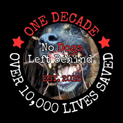No Dogs Left Behind. Established 2016. One Decade. Over 10,000 Lives Saved from Slaughter.