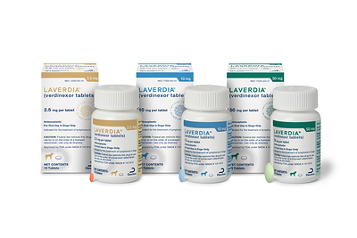 Dechra Brings Laverdia® (verdinexor tablets), the First and Only FDA-Approved Oral Treatment for Dogs Diagnosed with Lymphoma