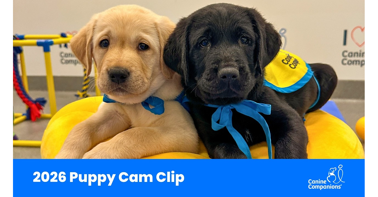 Canine Companions® Celebrates National Service Dog Month with Live Puppy Cam, Including a Snoopy Cameo
