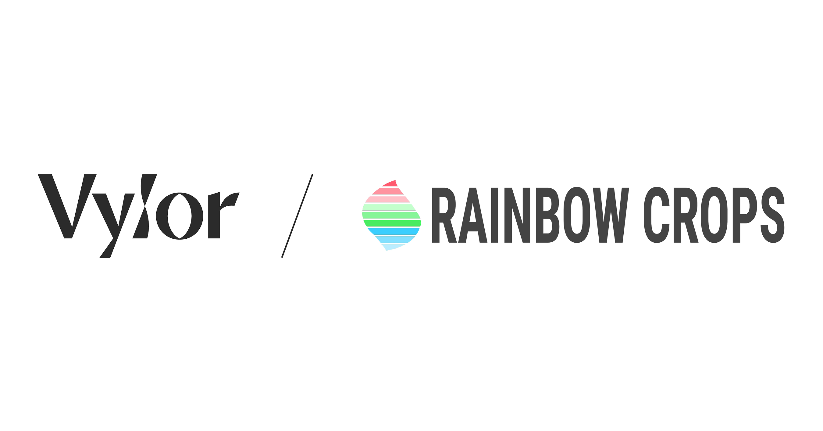 Vylor and Rainbow Crops Partner to Accelerate Development of Novel Gene-Edited Corn Traits