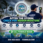 Your home may hide moisture after a storm, so trust FixMold for professional mold assessment, moisture mapping, and remediation across South Florida.