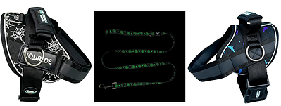 Joyride Dogs Launches Limited Edition Halloween Collection Featuring Glow-In-The-Dark Leashes &amp; Harnesses