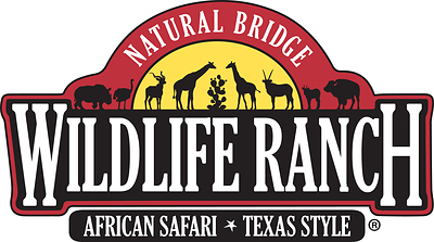 Natural Bridge Wildlife Ranch is a 500-acre safari destination in the Texas Hill Country, home to more than 500 animals representing more than 40 species. Guests can explore six miles of scenic ranch land through self-guided, guided, and VIP safari experiences that create meaningful connections with wildlife. The Ranch's work extends beyond the guest experience through species conservation programs, veterinary collaboration, conservation education, and research partnerships. 