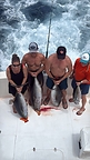 Yewllofintuna Fishing Trip