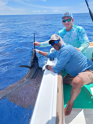 SailFish