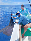 SailFish