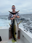 Large Yewllowfin Tuna